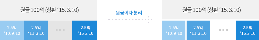 국고채 원금 이자분리 개념